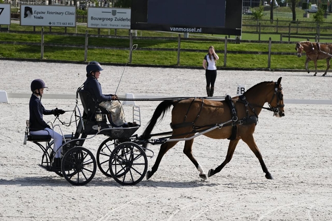Mossy & Emma at Kronenberg, Holland in April 2025